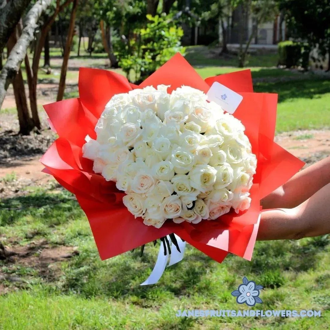 100 White Roses Bouquet - Jane's Fruits And Flowers