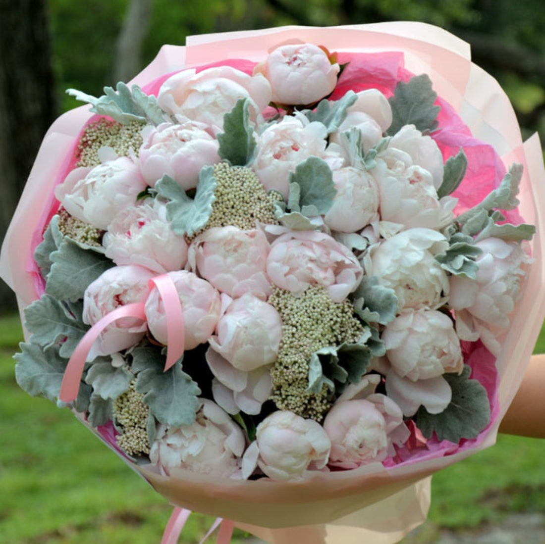 Soft Pink Peonies