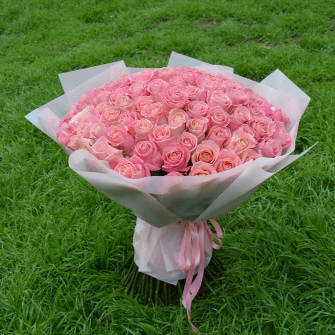 100 Roses Bouquet 'Hermosa"