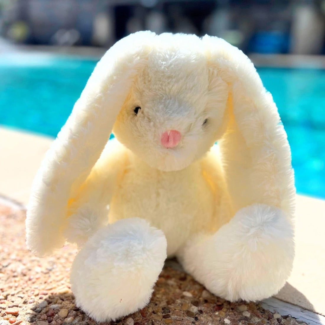 Fluffy Bunny