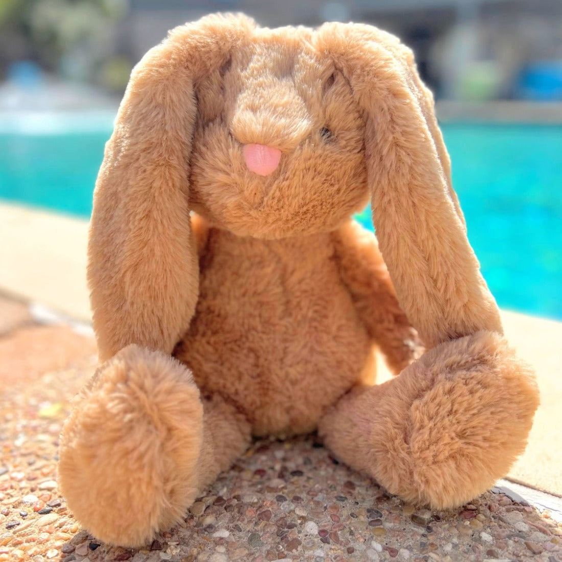 Fluffy Bunny