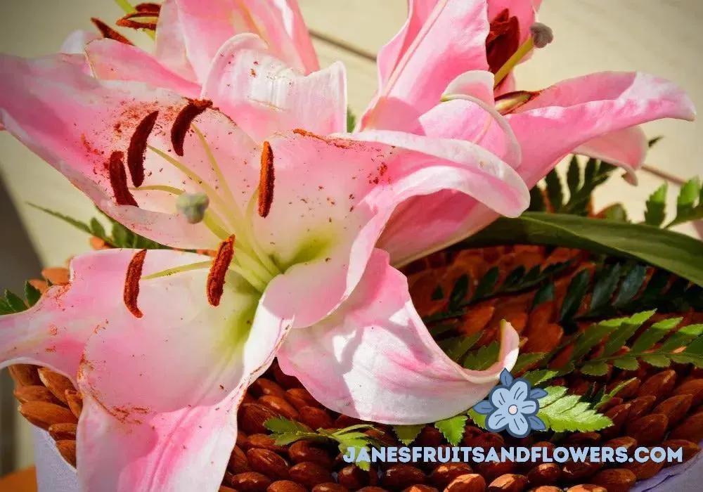 Cherry Blossom Bouquet - Janes Fruits and Flowers