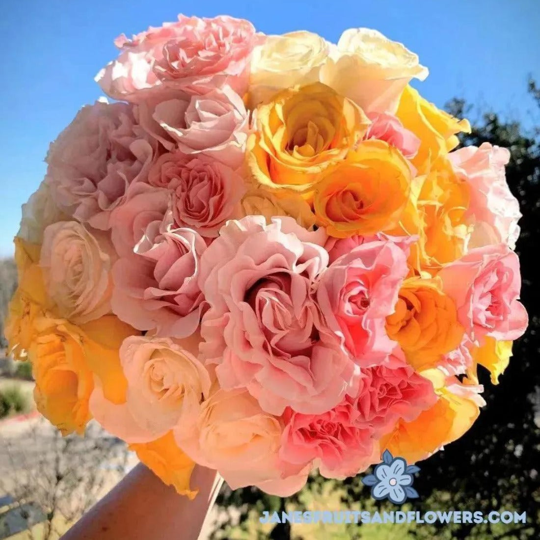 Cream Cake Bouquet - Jane's Fruits And Flowers