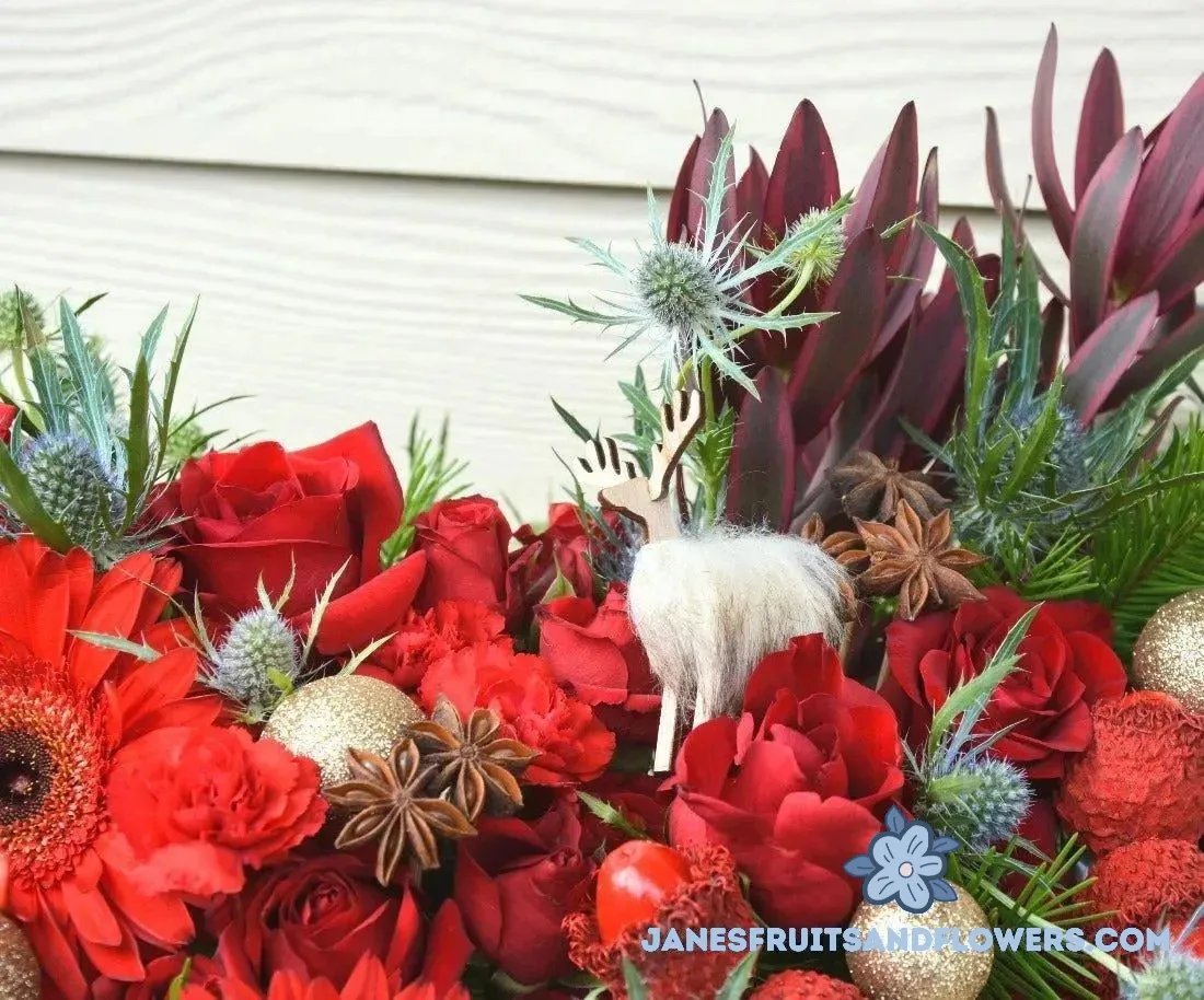 Very Merry Christmas Bouquet - Jane's Fruits And Flowers