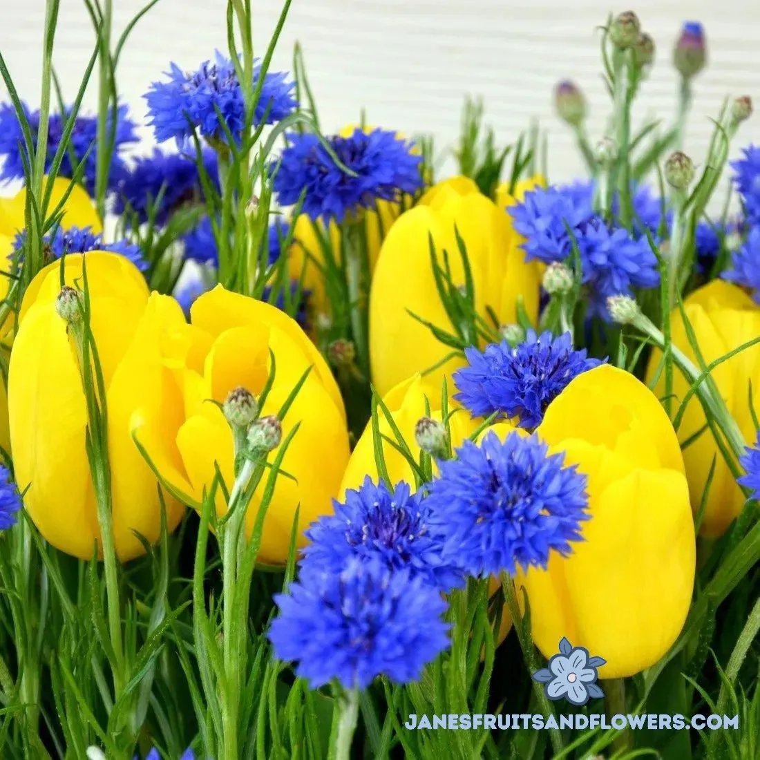 Zori Bouquet - Jane's Fruits And Flowers