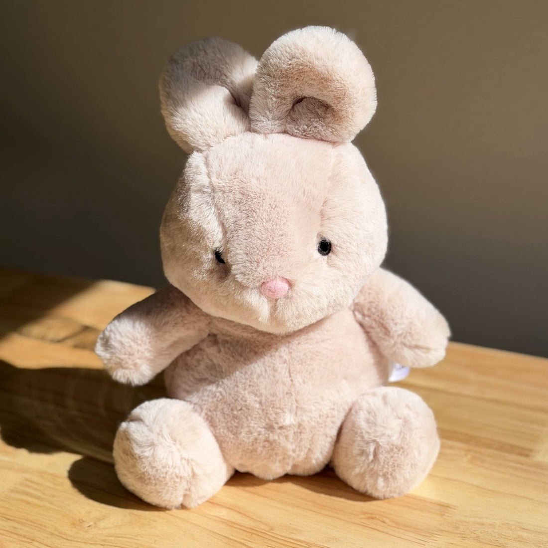 Cotton Bunny