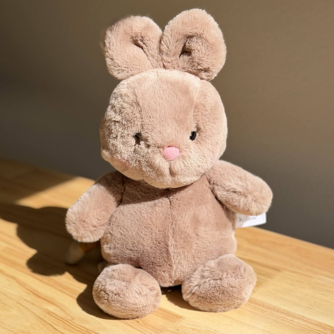 Cotton Bunny