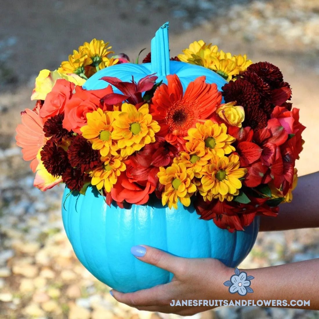 Colorful Halloween Air Pumpkin - Janes Fruits and Flowers