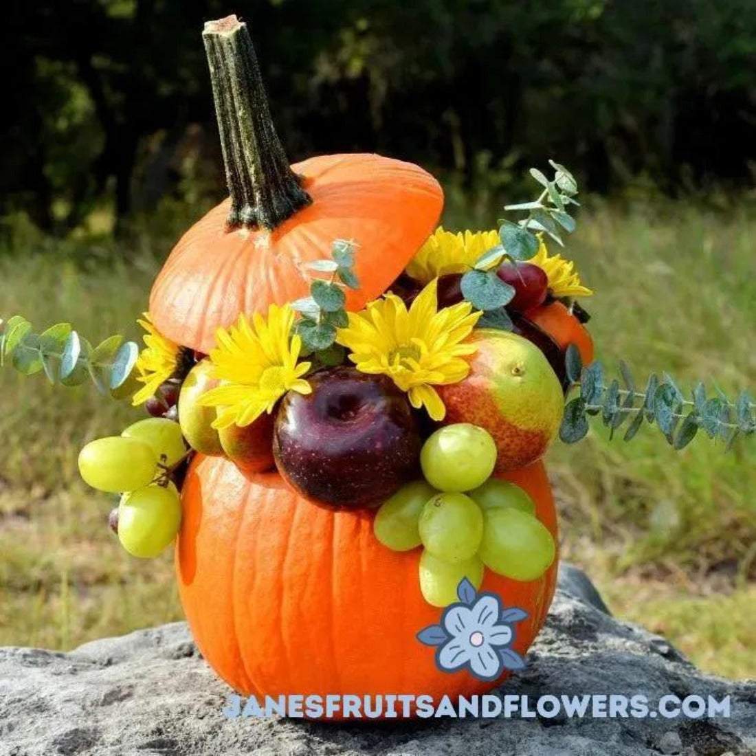 Pumpkin composition - Jane's Fruits And Flowers