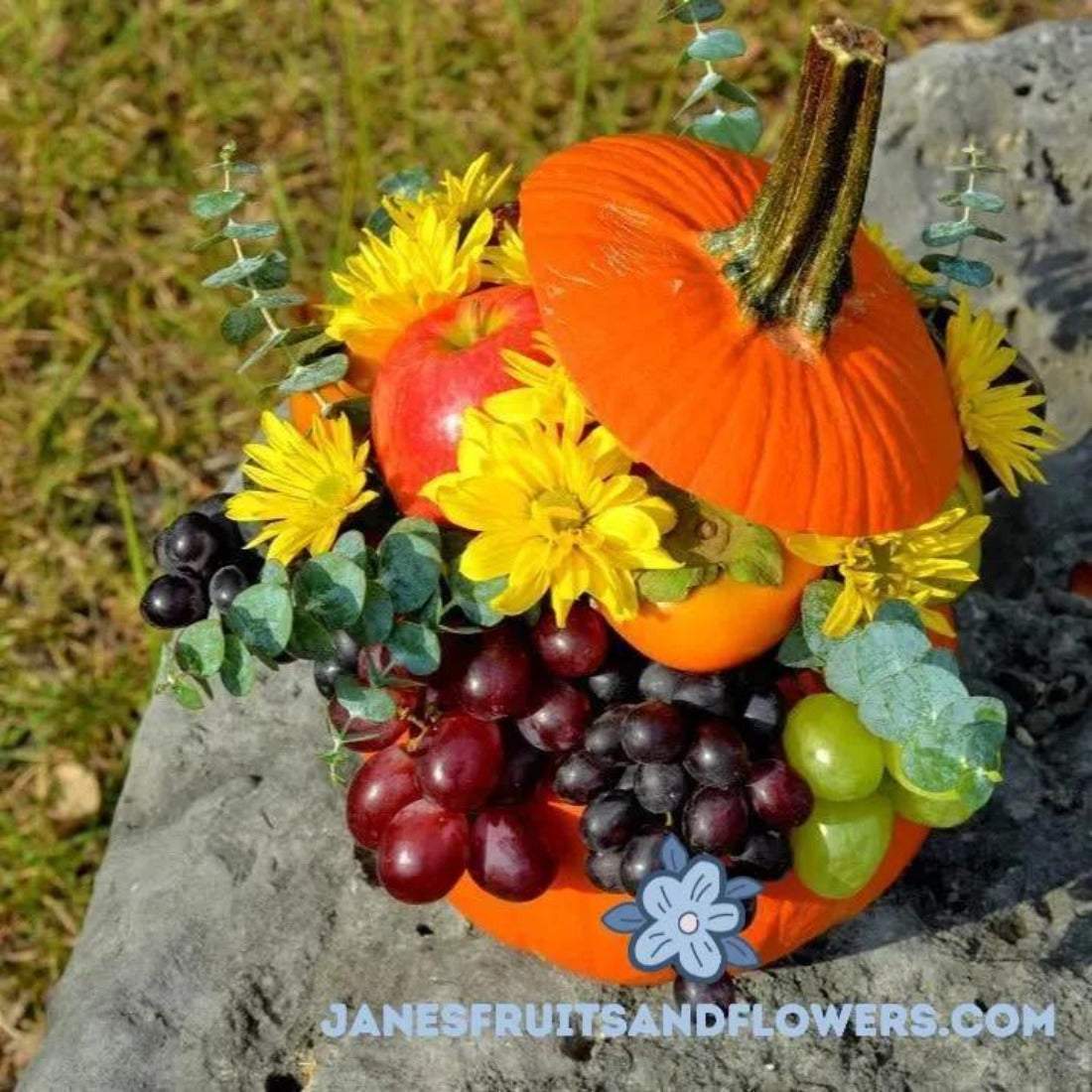 Pumpkin composition - Janes Fruits and Flowers