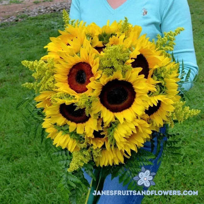 Sunflowers Bouquet - Jane's Fruits And Flowers