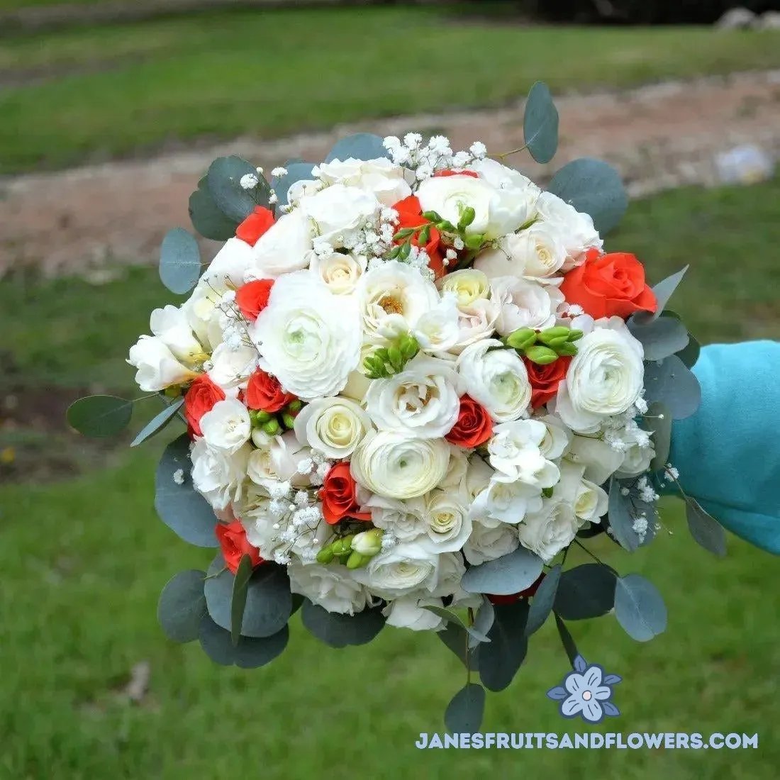 Single Ranunculus Bout White Ranunculus Bouquet